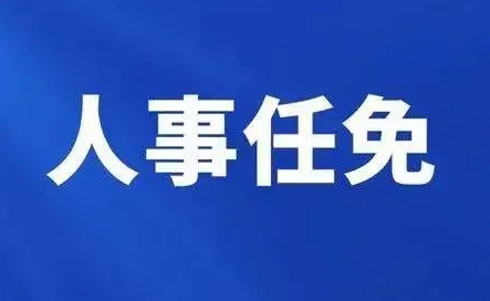 关于利腾达公司销售总监任命决定